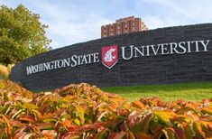 the washington state university sign is surrounded by bushes