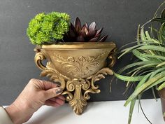 a person is holding a plant in a gold vase next to a potted plant