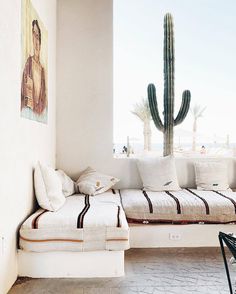 the instagram page shows an image of a couch and cactus in front of a window