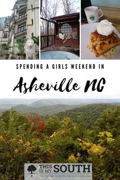 Use the guide from This Is My South to help you plan your next girl's weekend! Asheville is such a beautiful place, situated in the Great Smoky Mountains. Plan a weekend away to this quaint mountain town with our guide which gives you the locations for the best restaurants, spas, attractions, sightseeing, and hotels. Plan your time away with the girls to this wonderful travel destination. #ashevillenc #traveltips Hotels Plan, Girls Weekend Getaway, Girlfriends Getaway, Pisgah National Forest, Asheville North Carolina, Romantic Weekend, Smoky Mountain National Park