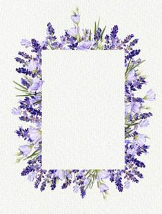 a square frame with purple flowers and greenery in the center on a white background