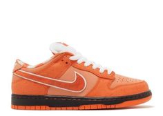 Nike SB Dunk Low Concepts Orange Lobster (Special Box) Size 7.5, DS BRAND NEW Jordan Shop, Womens Air Jordans, Sb Dunk Low, Nike Sb Dunks Low, Nike Sb Dunks, Sb Dunk, Sneaker Games, Kids Jordans, Nike Kids