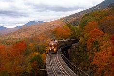 a train traveling through a lush green forest filled with fall colored trees next to a tall mountain