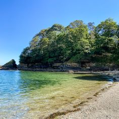 the water is green and clear at this beach near some trees, rocks and sand