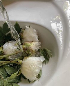 water pouring from a faucet into a white bowl filled with greens and flowers