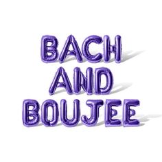 BACHANDBOUJEE Letter Balloon Banner Color: Purple. Balloon Company, Purple Party, Balloon Banner, Letter Balloons, Mylar Balloons, Bridal Shower Party, Alphabet Letters, Party Banner, Shower Party