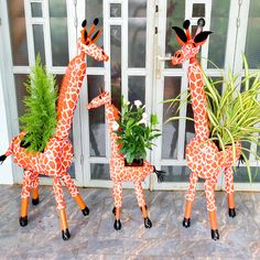 three giraffes are standing next to each other with plants in their mouths