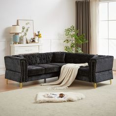 a living room with a black couch and white rug