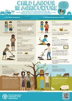 an info poster with people and animals in different languages, including the words tracajo infantil en la asiccutura