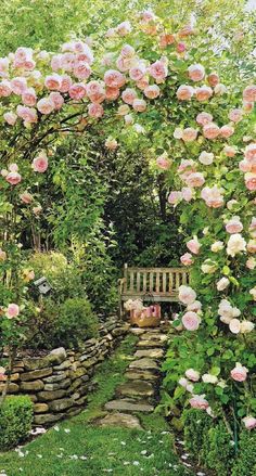 a garden filled with lots of pink flowers