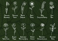 an image of flowers that are drawn in white on a green background with the names of them