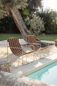 two chairs sitting next to each other near a tree and swimming pool in a backyard