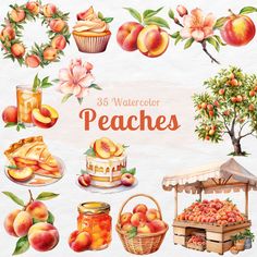 watercolor peaches clipart set with apples, pies and other fruit items