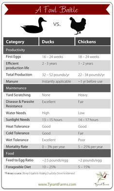 two ducks and one duck are shown in this table, which shows the differences between poultry and