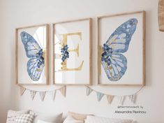 two framed butterfly pictures hang on the wall above a white couch in a living room