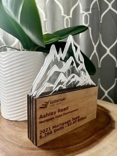 a wooden award sitting on top of a table next to a potted plant