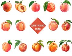 Peaches Decor, Background High Quality, Endless Opportunities, Ripe Fruit, Summer Events, Png Format, Les Oeuvres, Transparent Background, Oeuvre D'art