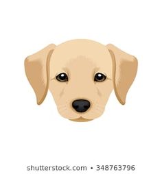 a dog's face is shown on a white background