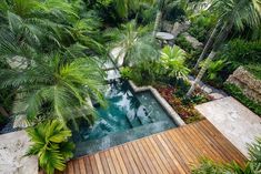 an aerial view of a pool surrounded by palm trees and other greenery, with a wooden deck