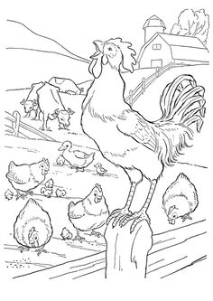 an adult chicken standing on top of a wooden fence next to other chickens and cows