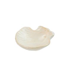 a white shell shaped bowl on a white background