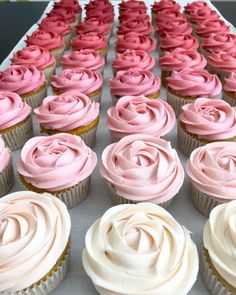 cupcakes with pink and white frosting are arranged in rows on a table