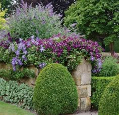 a garden filled with lots of purple flowers