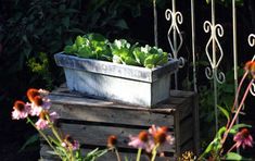 a wooden box filled with lots of flowers next to a metal fence and some plants