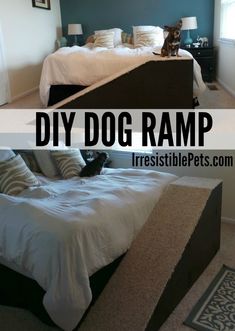 a dog sitting on top of a bed in a bedroom