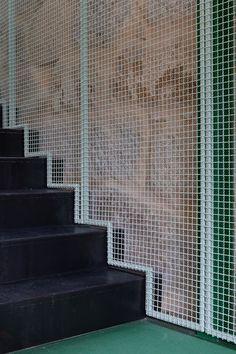 a cat is sitting on the steps next to a screen door that has been closed