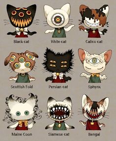 the different types of cats with their mouths open and fangs out, all in different colors