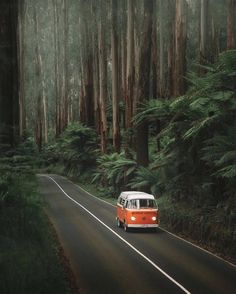 an orange and white van driving down a forest road