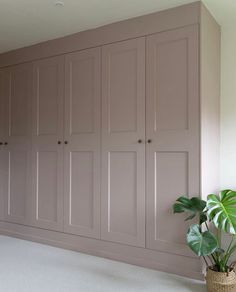 an empty room with many cupboards and a potted plant