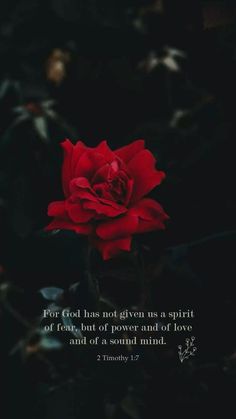 a red rose with the words for god has not given me a spirit of roses, but of power and of love and of a sound mind