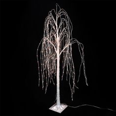 a lighted tree with white branches and lights on it's base in the dark