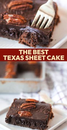 the best texas sheet cake with chocolate frosting and pecans on top is ready to be eaten