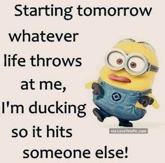 a minion with the words, starting tomorrow whatever life throws at me, i'm ducking so it hits someone else