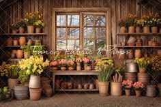 there are many potted plants and flowers in front of a window with the words flower shop on it