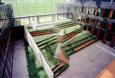 an open courtyard with grass growing on the floor and stairs leading up to two buildings