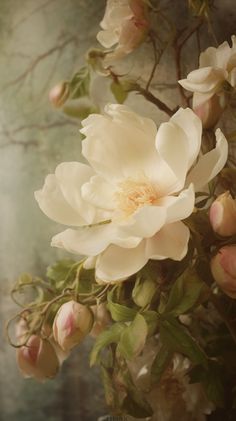 a white flower with lots of leaves on it