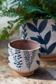 two potted plants sitting on top of a wooden table next to another planter