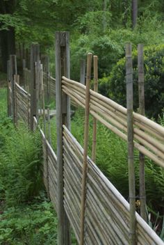 a wooden fence in the middle of a lush green forest