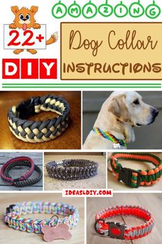 several different dog collars with instructions to make them look like they are made out of braid