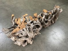 a piece of drift wood sitting on top of a floor