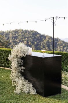 an artistic sculpture in the middle of a lawn with string lights above it and mountains in the background