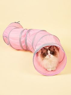 a cat is sitting in a pink tunnel