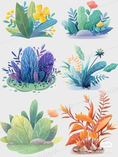 four different types of plants with leaves and flowers on them, all in watercolor