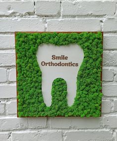 Wall Moss Art, Orthodontist Office, Tooth Logo, Wall Moss, Teeth Logo, Dentist Logo, Selfie Wall, Dental Gifts