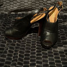 Stunning Black Snake Print Pumps. Never Been Used. Black Snake, Coach Shoes, Snake Print, Shoes Women Heels, Black And Brown, Shoes Heels, Size 7, Pumps, Women Shoes