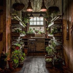 the inside of an old building with plants growing in pots and hanging from the ceiling